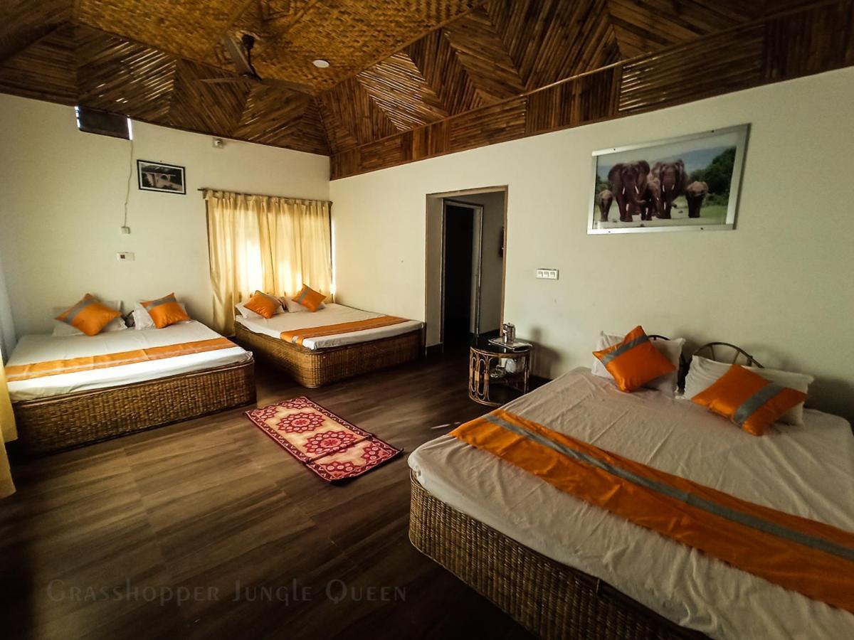 Grasshopper Jungle Queen Resort Chālsa Exterior foto