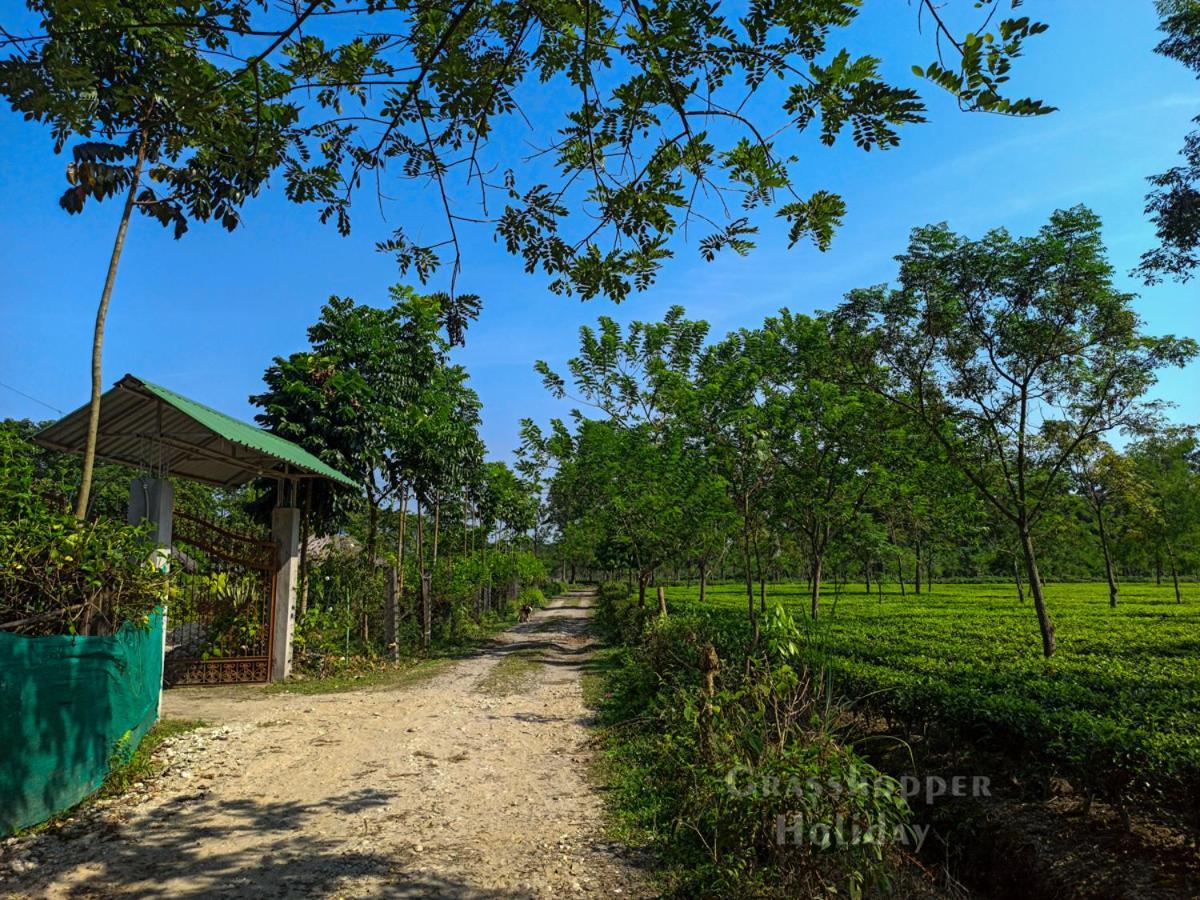 Grasshopper Jungle Queen Resort Chālsa Exterior foto