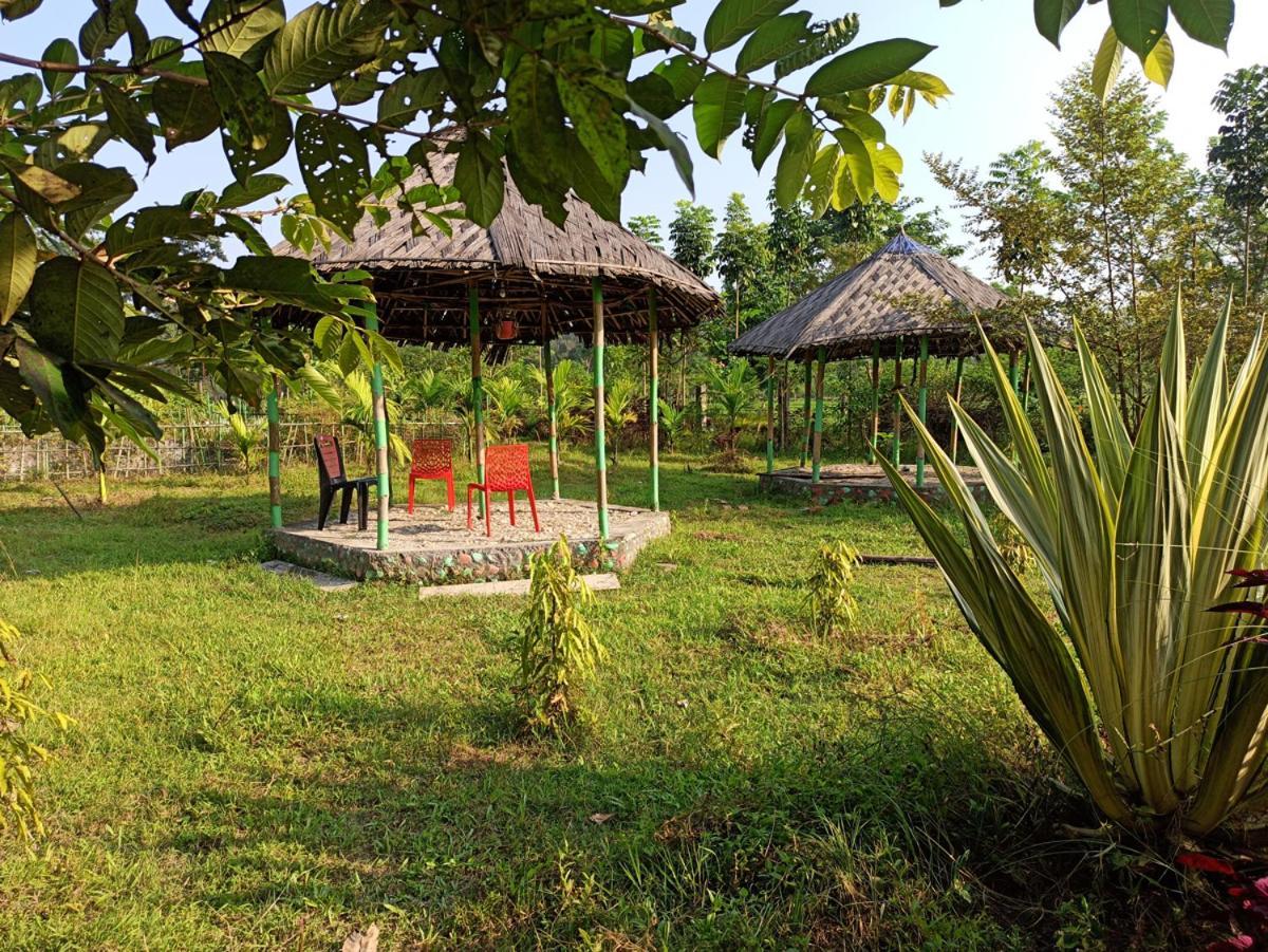 Grasshopper Jungle Queen Resort Chālsa Exterior foto