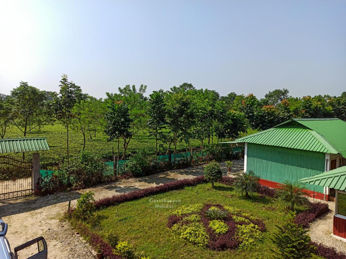 Grasshopper Jungle Queen Resort Chālsa Exterior foto